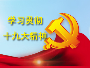 ex n 30本 アミノ酸 資生堂 美容ドリンク 2 000mgのローヤルゼリー等を配合したドリンク rj 資生堂 rj rj rj ギャバ kotakota ローヤルゼリー