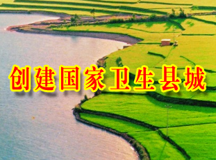 ex n 30本 アミノ酸 資生堂 美容ドリンク 2 000mgのローヤルゼリー等を配合したドリンク rj 資生堂 rj rj rj ギャバ kotakota ローヤルゼリー