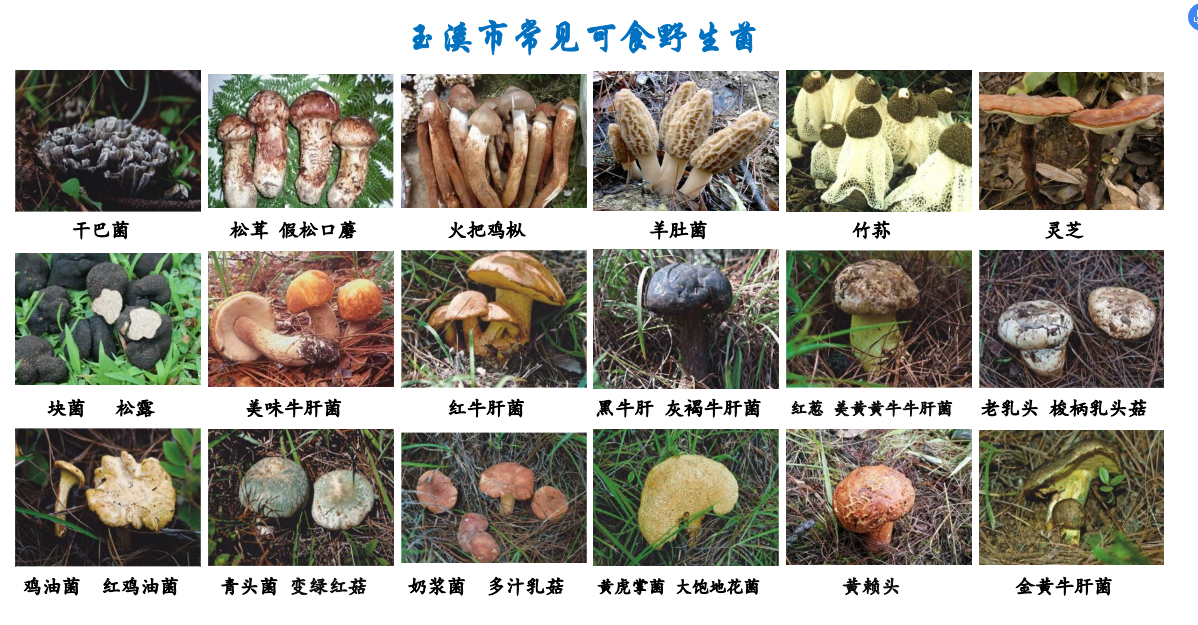 图片1.png 图片1.png