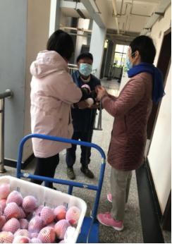 图片40-1.jpg