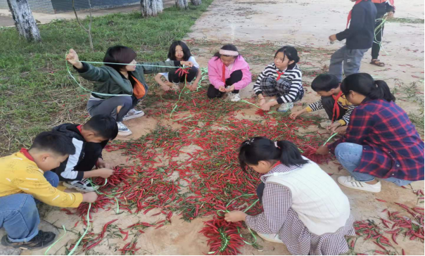 第238期 20211015华宁县青龙镇山岐小学劳动实践基地迎来丰收143.png 第238期 20211015华宁县青龙镇山岐小学劳动实践基地迎来丰收143.png
