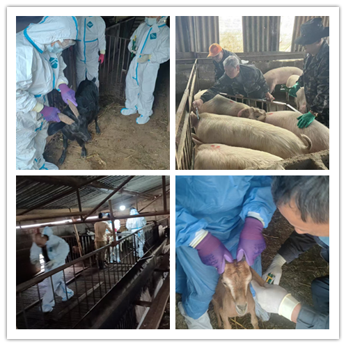 图片3.png 图片3.png