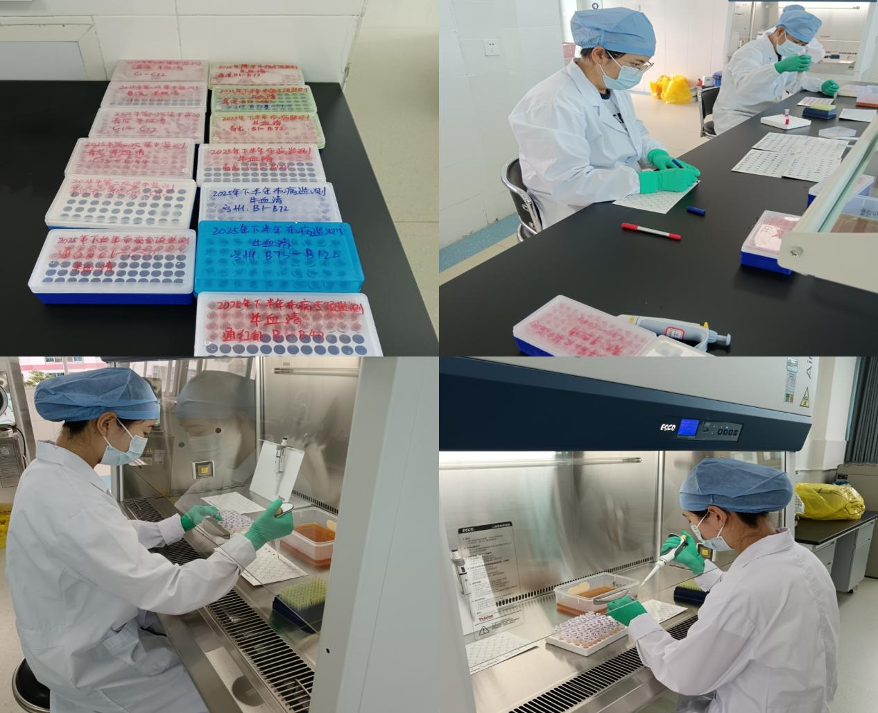 图片1.png 图片1.png